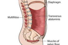 treloar-physiotherapy-clinic-pelvic-floor-health-therapy treloar-physiotherapy-clinic-pelvic-floor-health-therapy